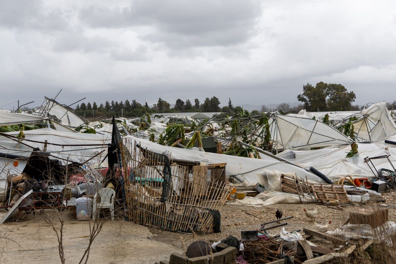 Antalyalı Üreticiden Sitem Dolu Sözler (4)