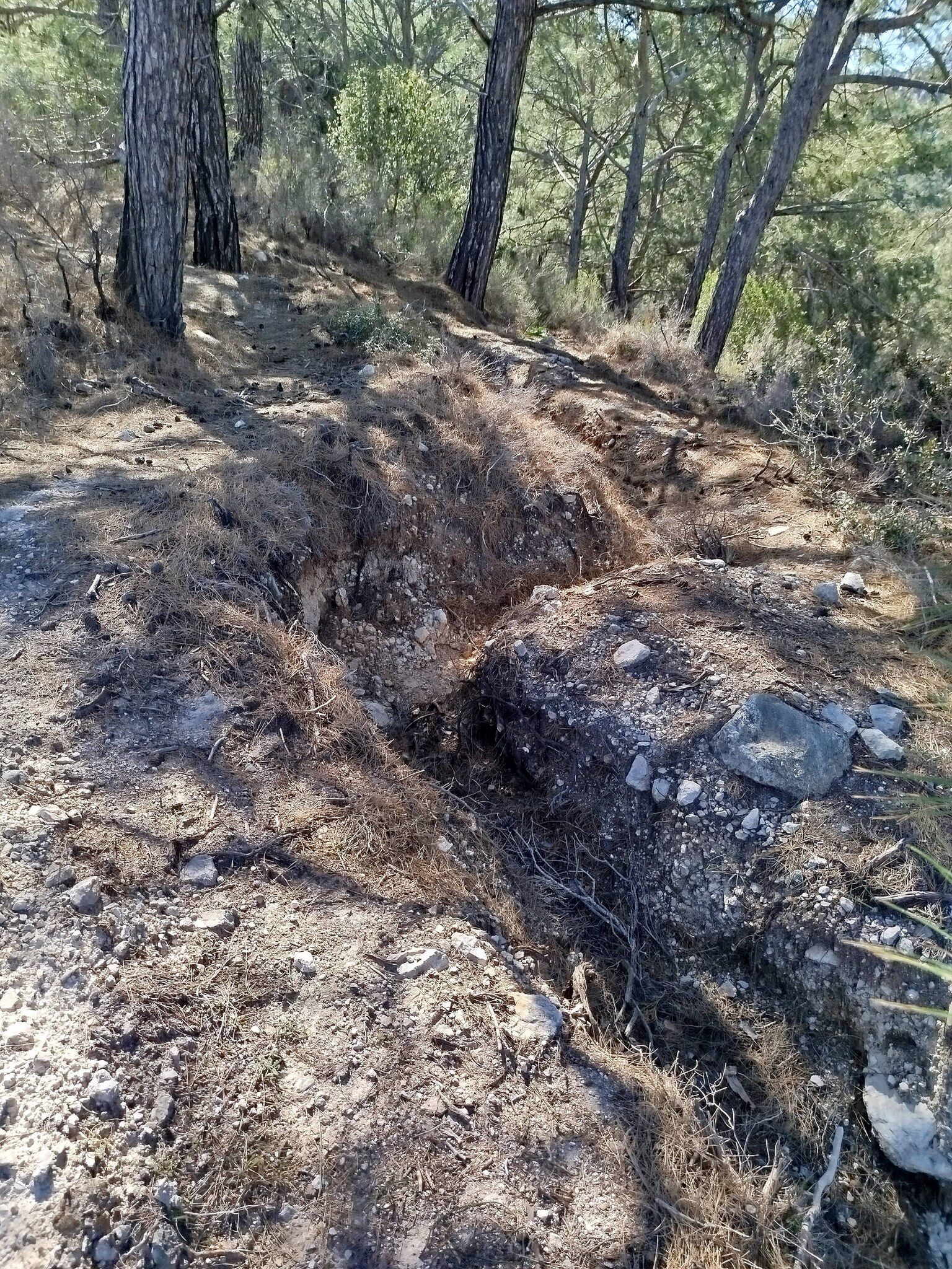 Antalya’nın En Önemli Noktası Yok Olma Tehlikesinde (3)