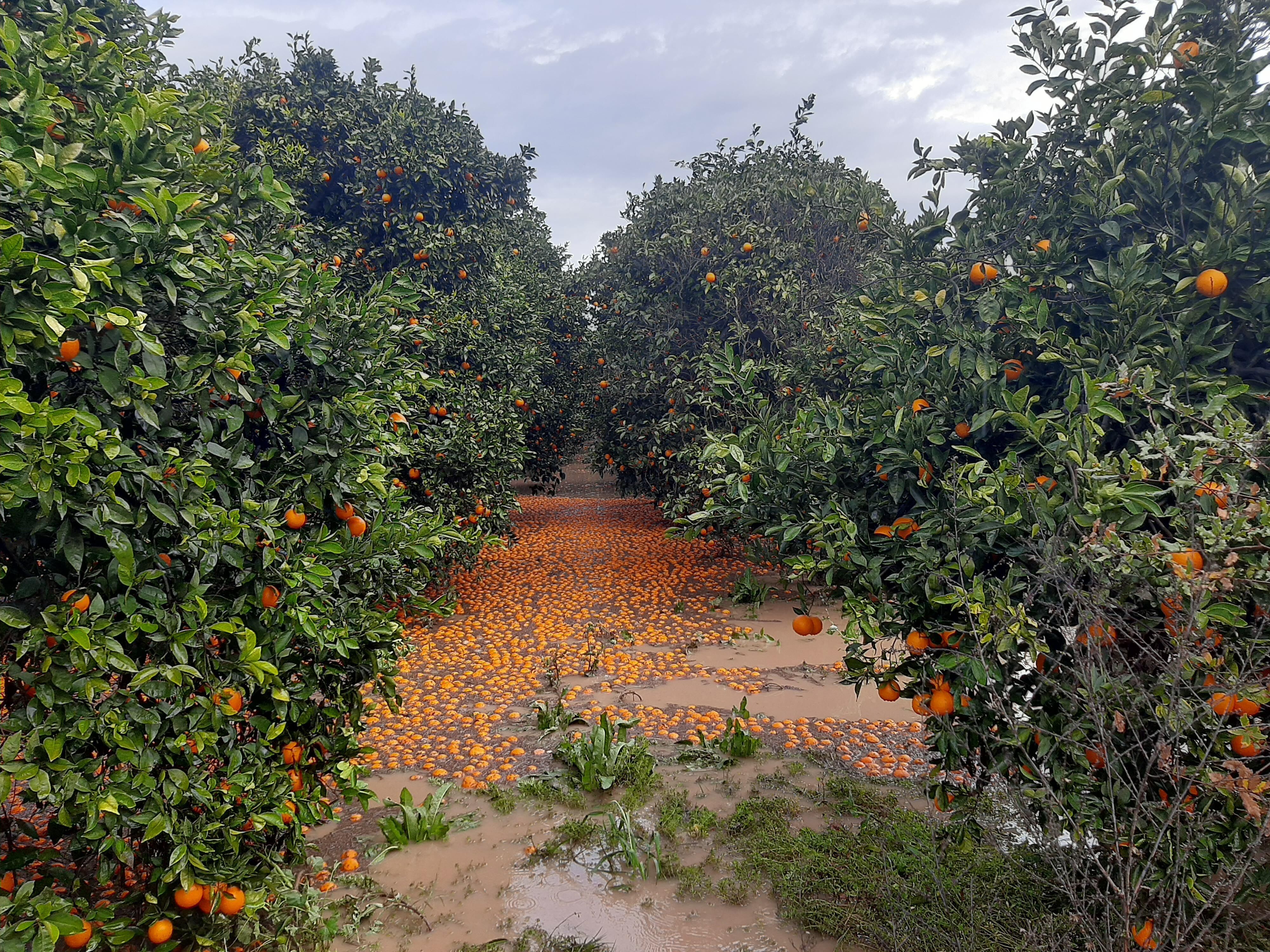 Aşırı Hava Olayları Normalleşti; 1 Yıl Kuraklık, 1 Yıl Sel (4)