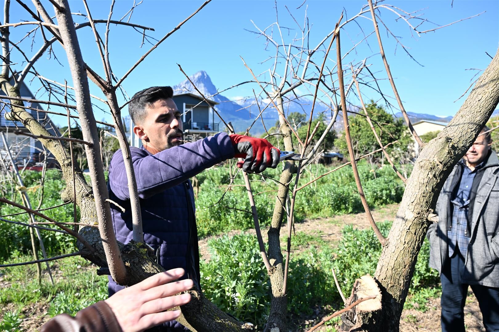 Atasem’de Uygulamalı Ağaç Budama Eğitimi (5) (Large)