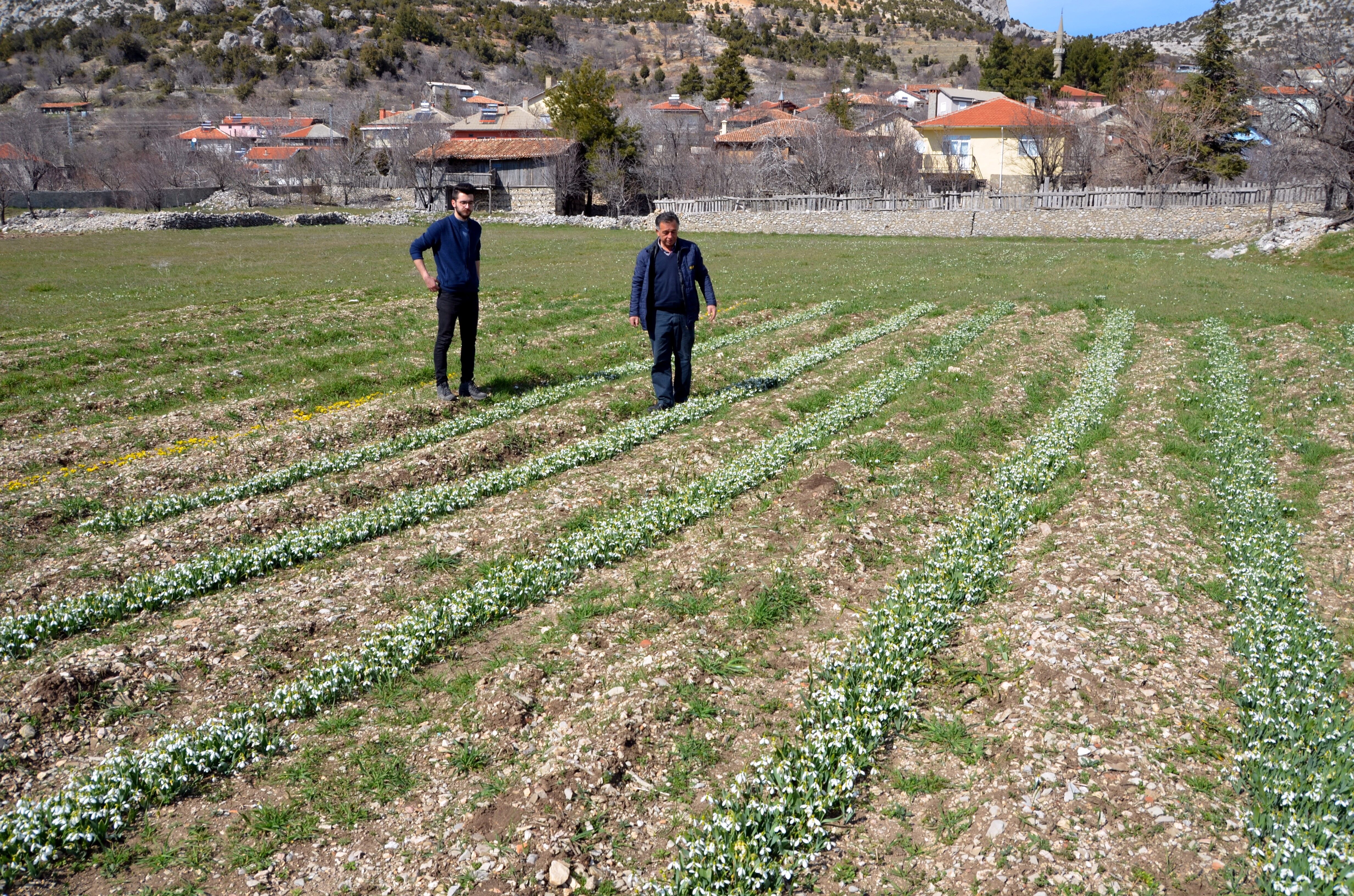 Bakanlık Izin Verdi Toroslarda Ihracat Başladı (3)