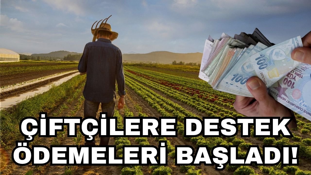 Bakan Yumaklı duyurdu: Çiftçilere destek ödemeleri başladı