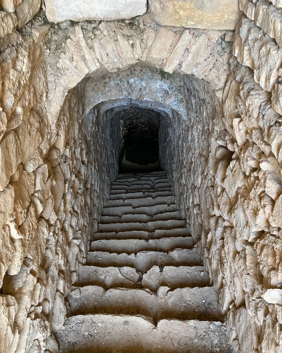 Korkutelideki Sarniclarin Koruma Alani Guncellendi (2)