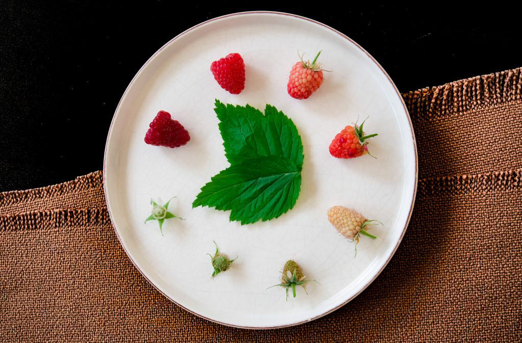 L O K M A N G R O U P 2026’ D A 11 M I L Y A R L I R A C I R 1207174 358983