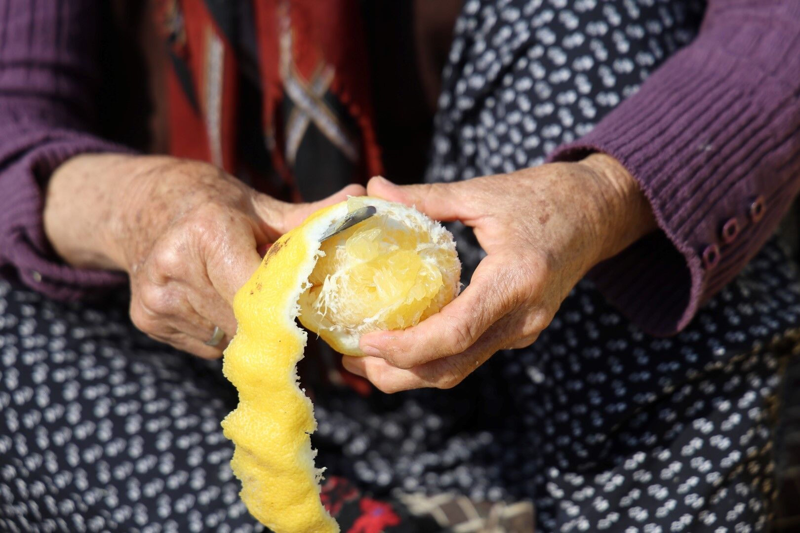 Limon Ve Turunç Kabukları Kadınlara Gelir Oldu (1)