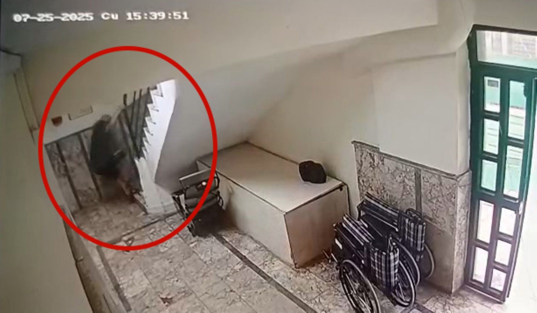 Mehmet'in Gerçeğini Kameralar Gün Yüzüne Çıkardı (4)