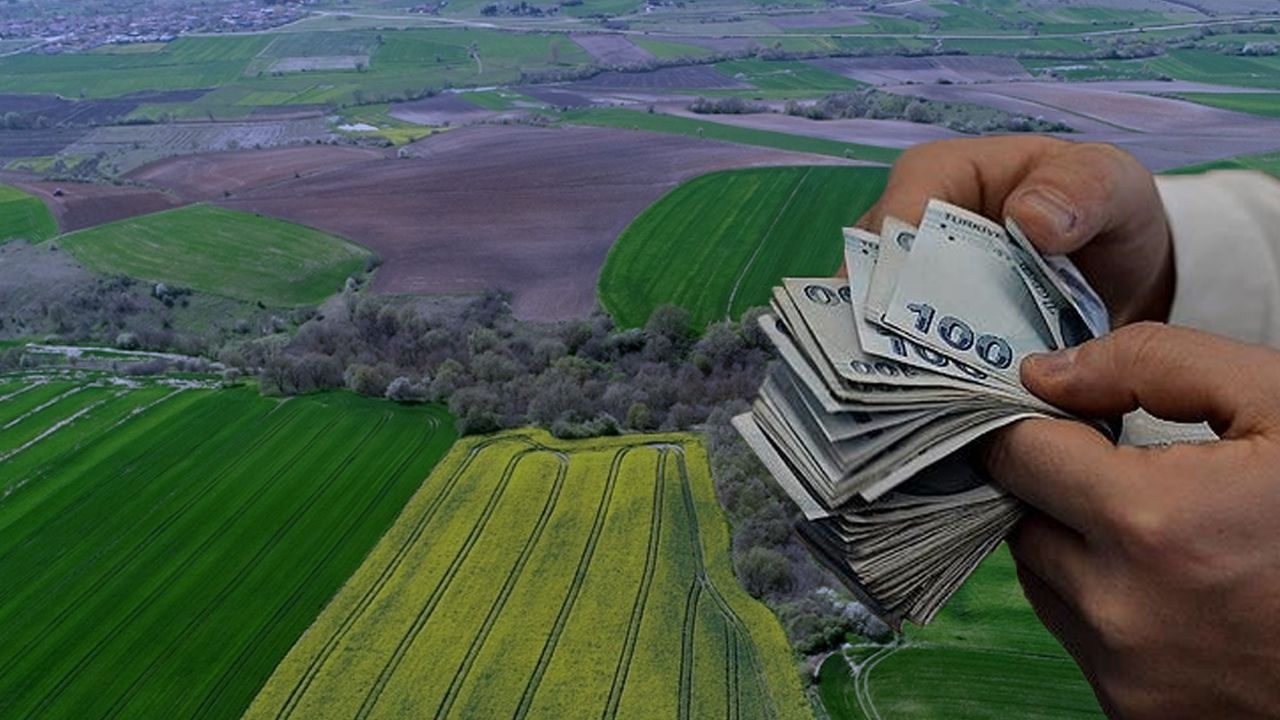 Serikte Hazineye Ait Arsa Ihaleye Cikti (3)