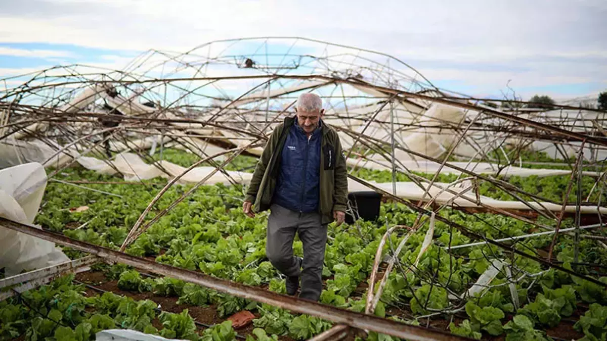 Tarim Sigortasinda Yeni Dönem (1)-1
