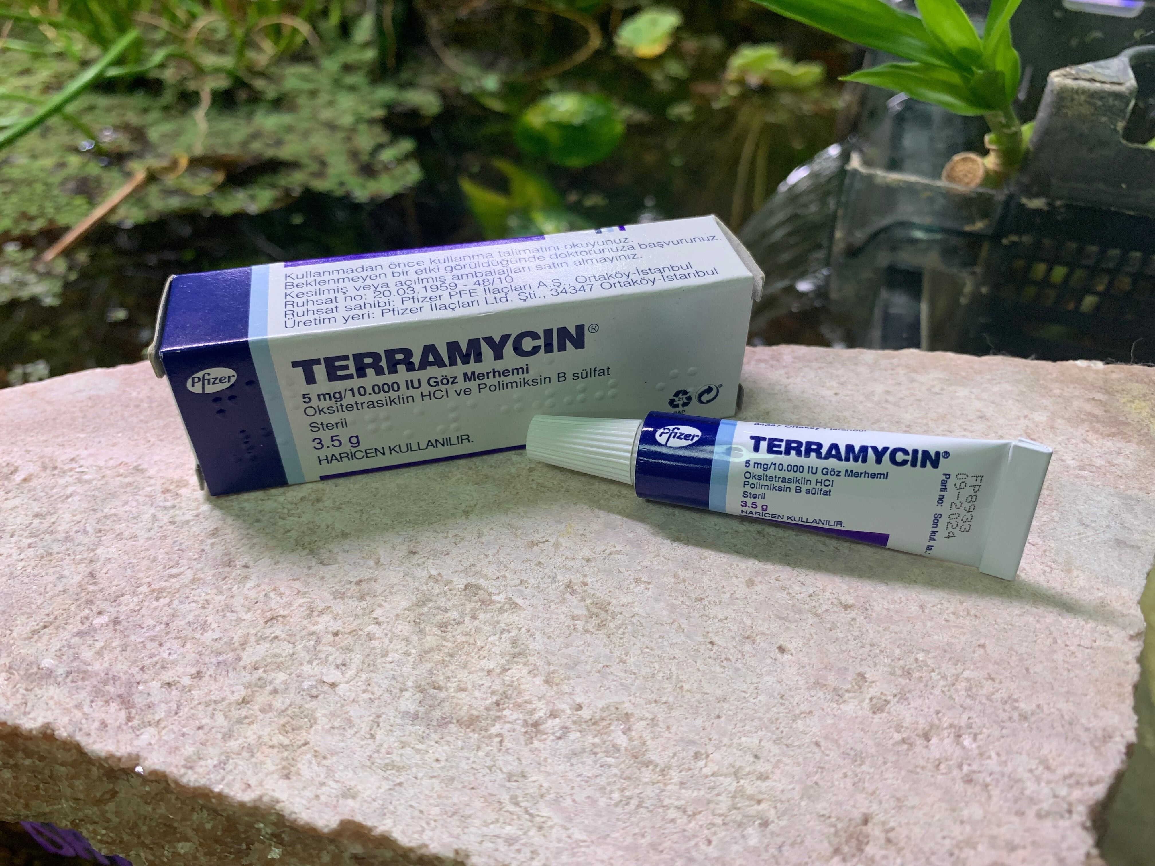 Terramycin 5