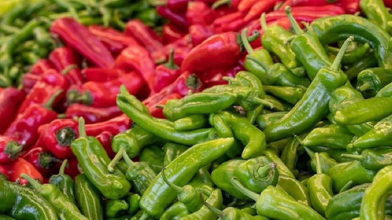 Ticaret Bakanligi Biber (1)-1