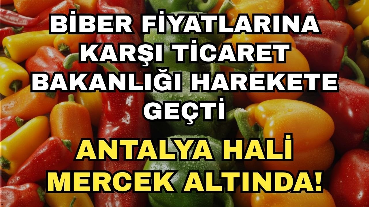 Biber fiyatlarına karşı Ticaret Bakanlığı harekete geçti: Antalya Hali mercek altında