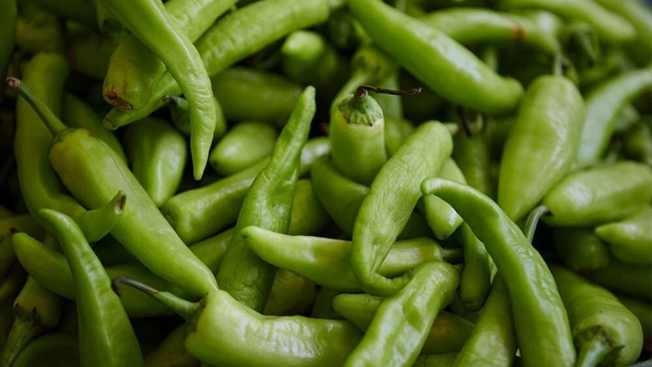 Ticaret Bakanligi Biber (4)