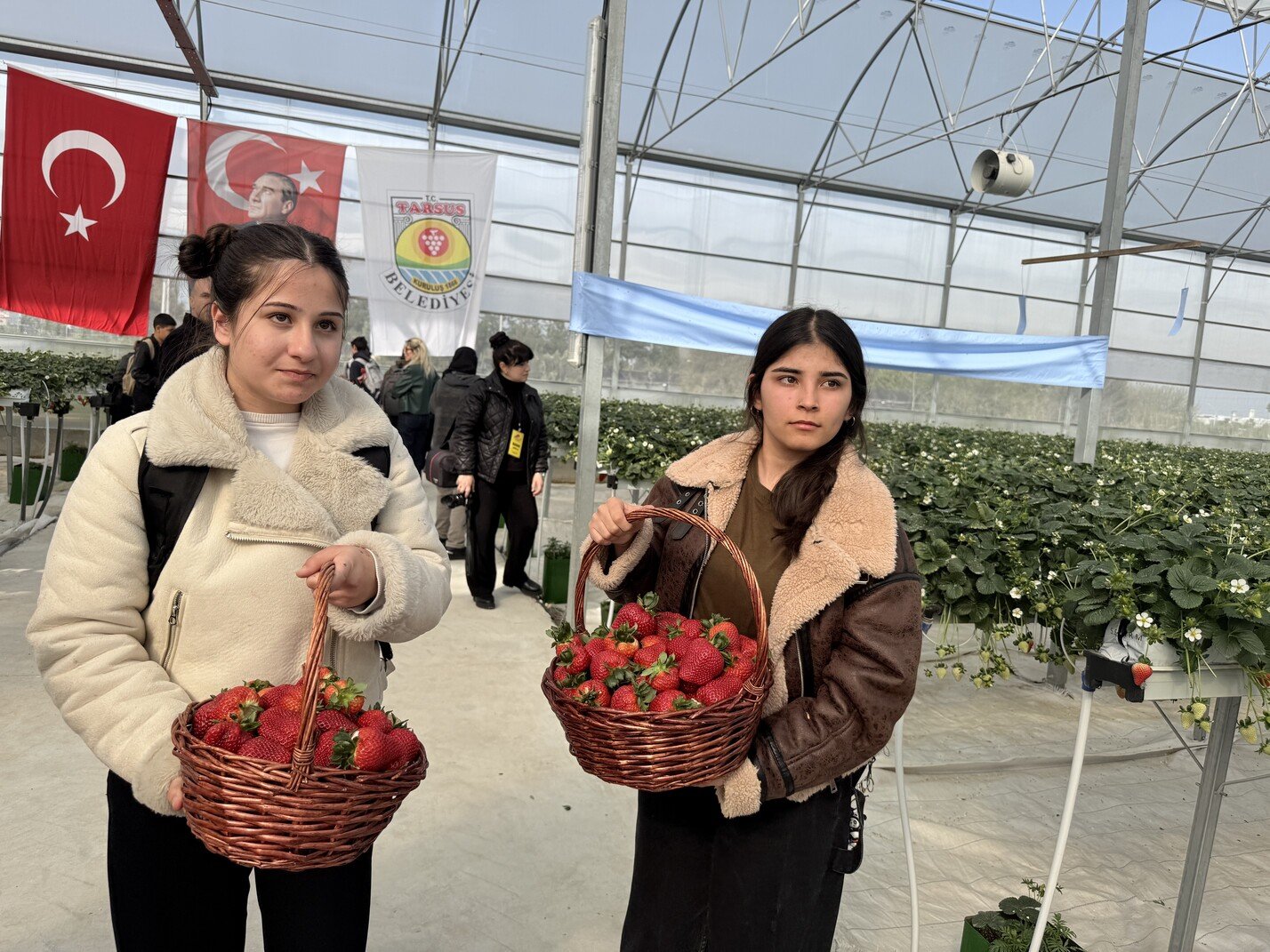 Topraksiz Tarimda Ilk Hasat Heyecani (2)
