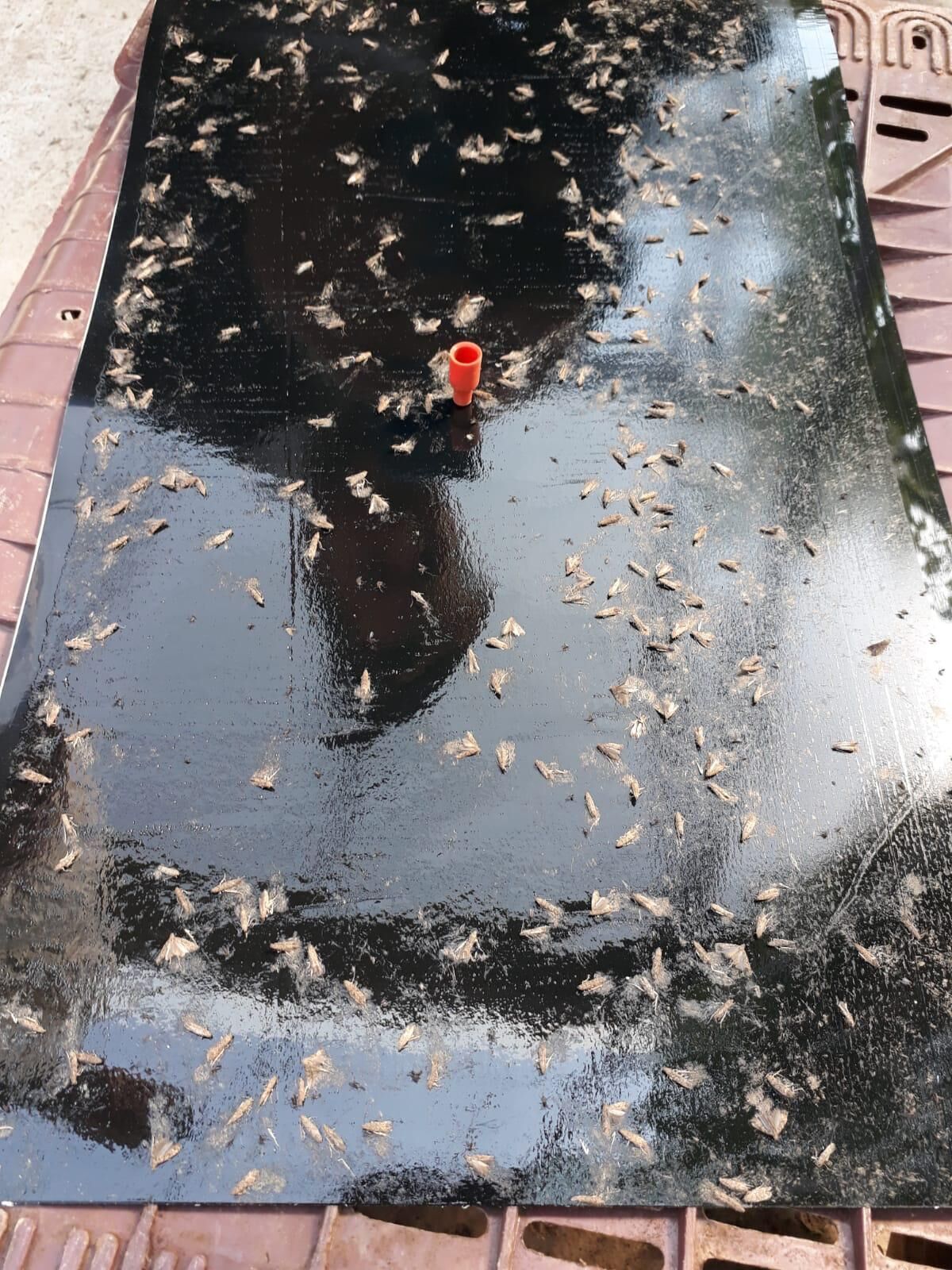 Whatsapp Image 2026 03 18 At 14.53.31 (1)