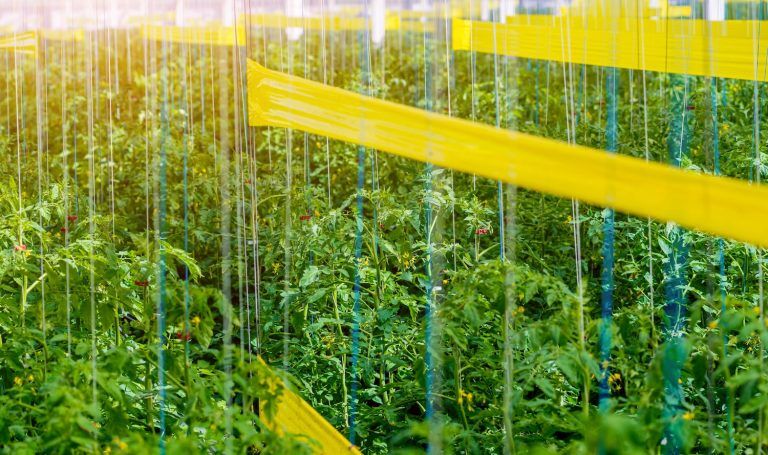 Whatsapp Image 2026 03 18 At 14.53.32