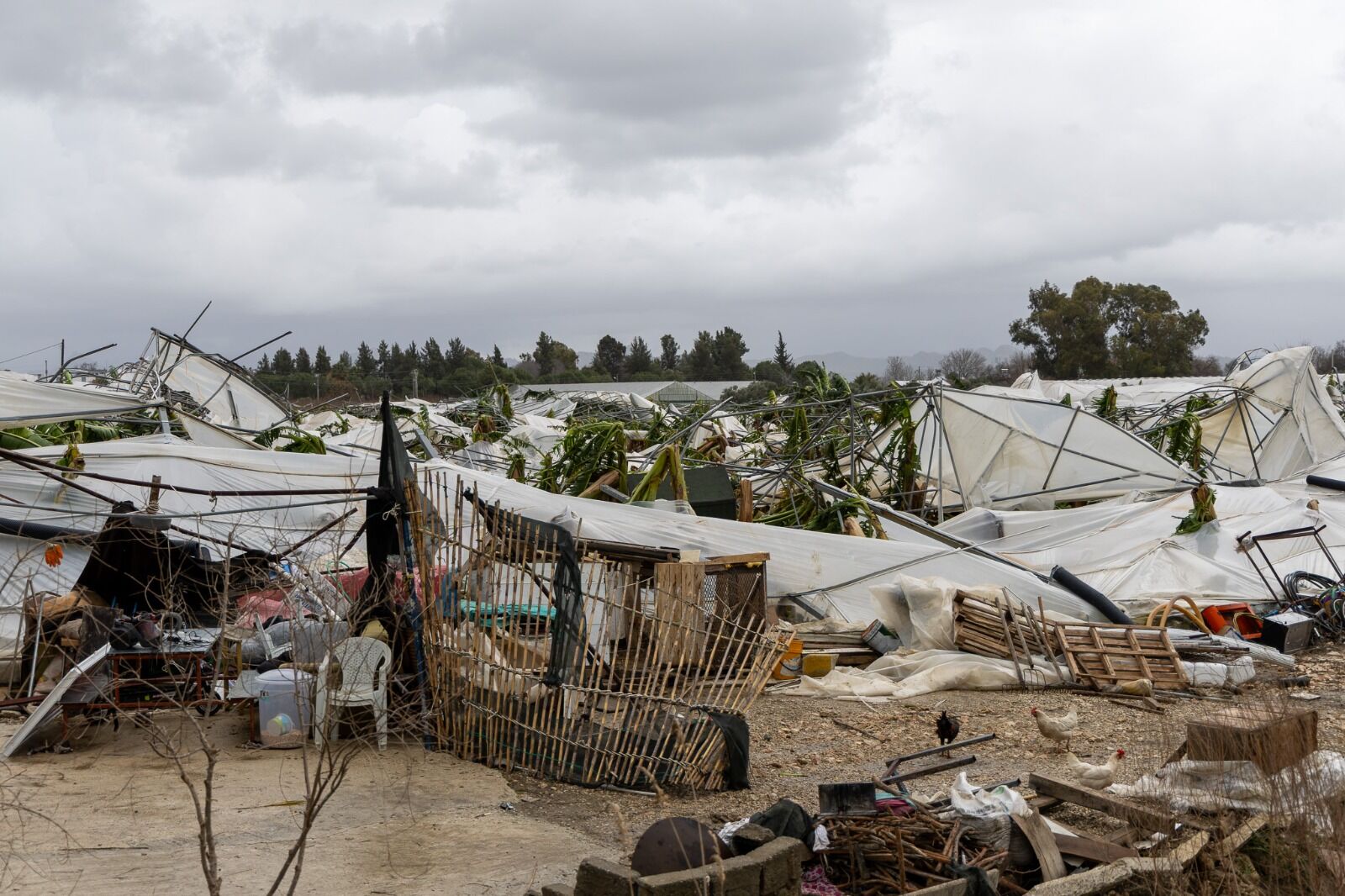 Whatsapp Image 2026 03 18 At 15.38.30 (1)-1