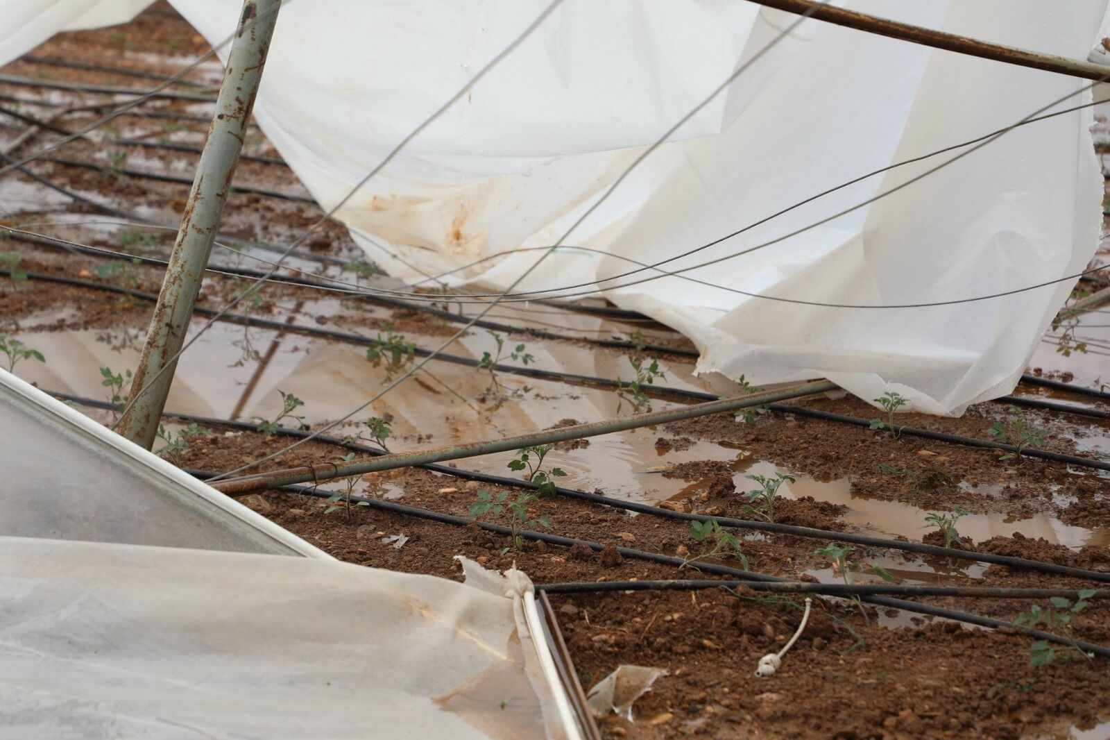 Whatsapp Image 2026 03 18 At 15.38.30-1