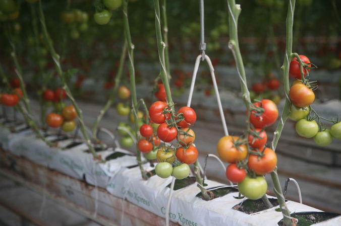 Whatsapp Image 2026 03 19 At 15.23.11 (1)