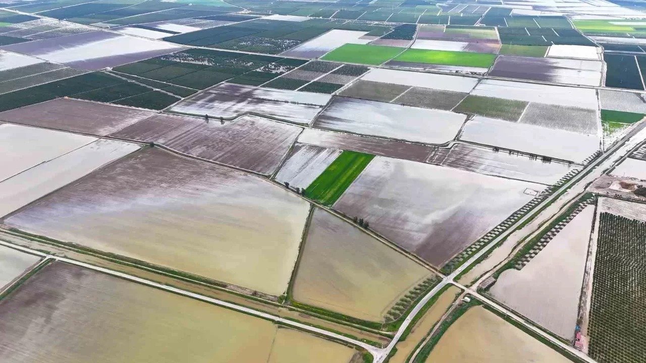 Whatsapp Image 2026 03 25 At 16.59.10 (1)