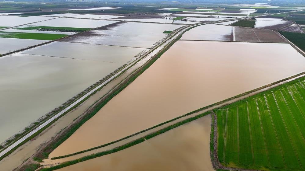 Whatsapp Image 2026 03 25 At 16.59.10