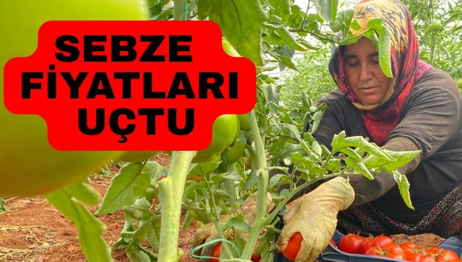 Antalya’da sebze fiyatları uçtu, 20 gündür yaprak kımıldamıyor