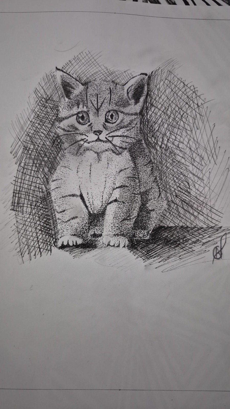 Whatsapp Image 2026 03 25 At 17.42.52 (1)