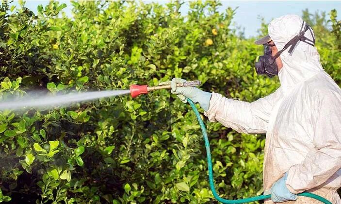 Ziraat Mühendisinden Kritik Uyarı! Tarımda Kalite Riske Atılmamalı (1)