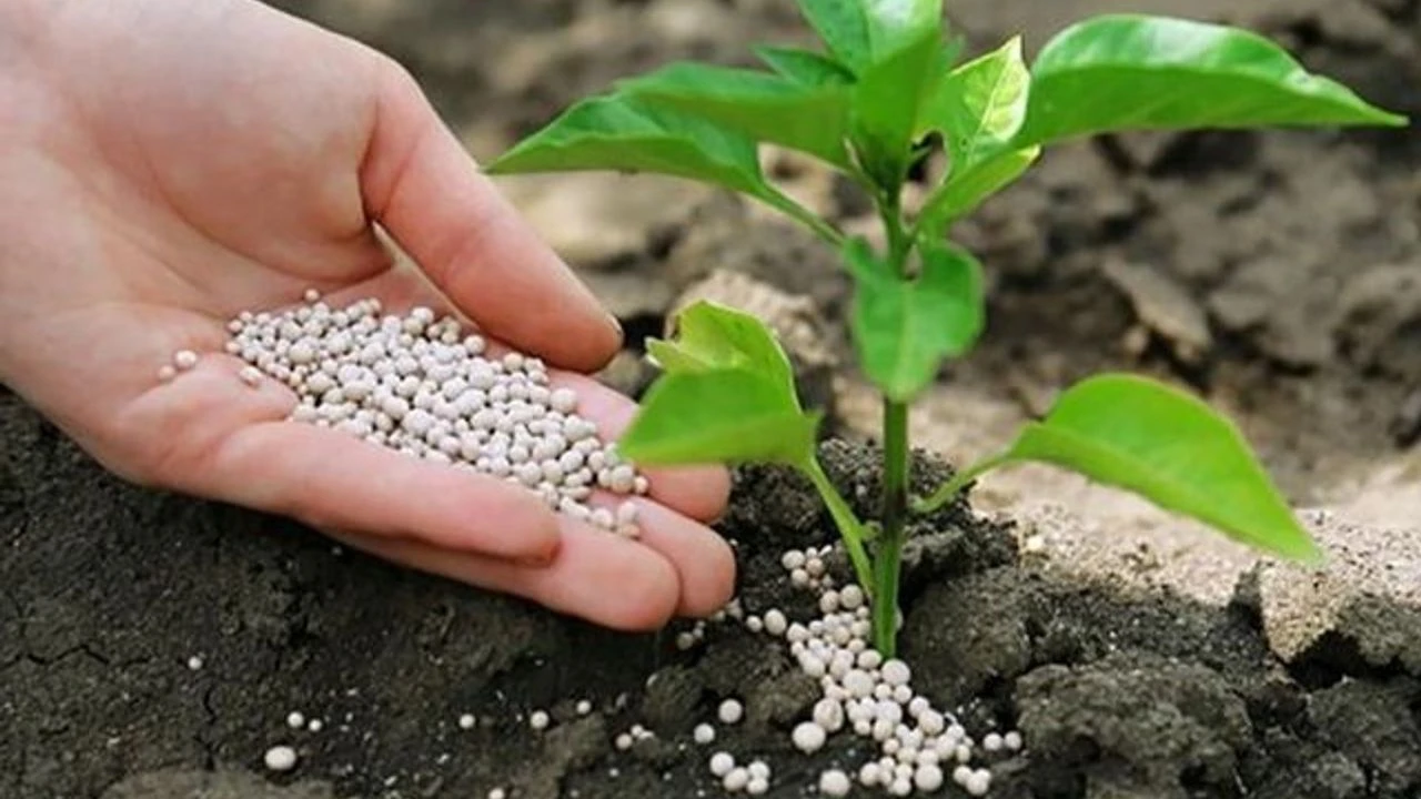 ZİRAİ İLAÇ SATIN ALINACAK