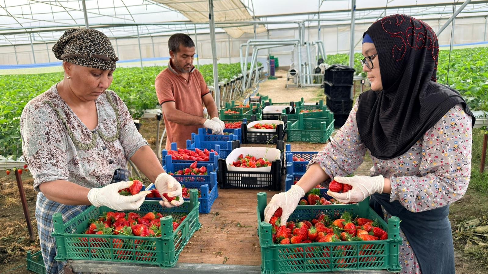 Almanya’da Eğitim Aldı Antalya’da Başarıyı Yakaladı (5)