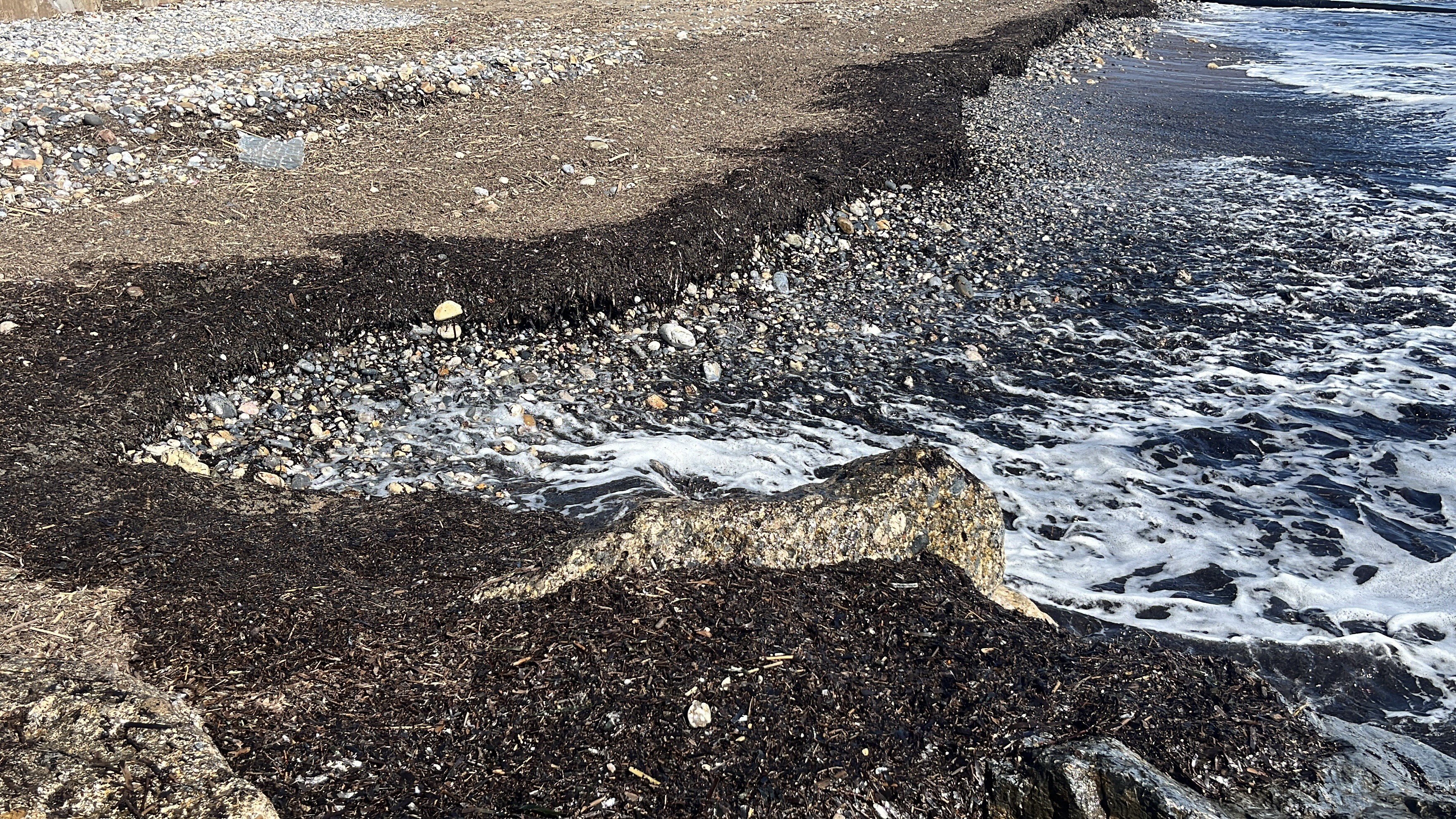Antalya Sahilinde Petrol Paniği! Gerçek Başka Çıktı (5)