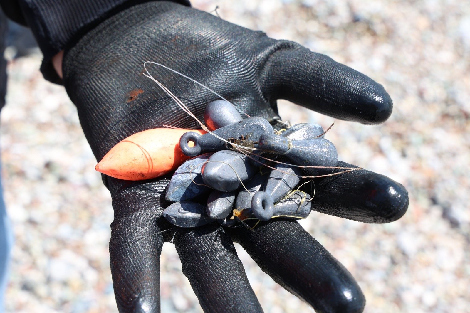 Antalya Sahilleride Temizlik Seferberliği Sonuçlar Ilk Kez Sevindirdi (8)