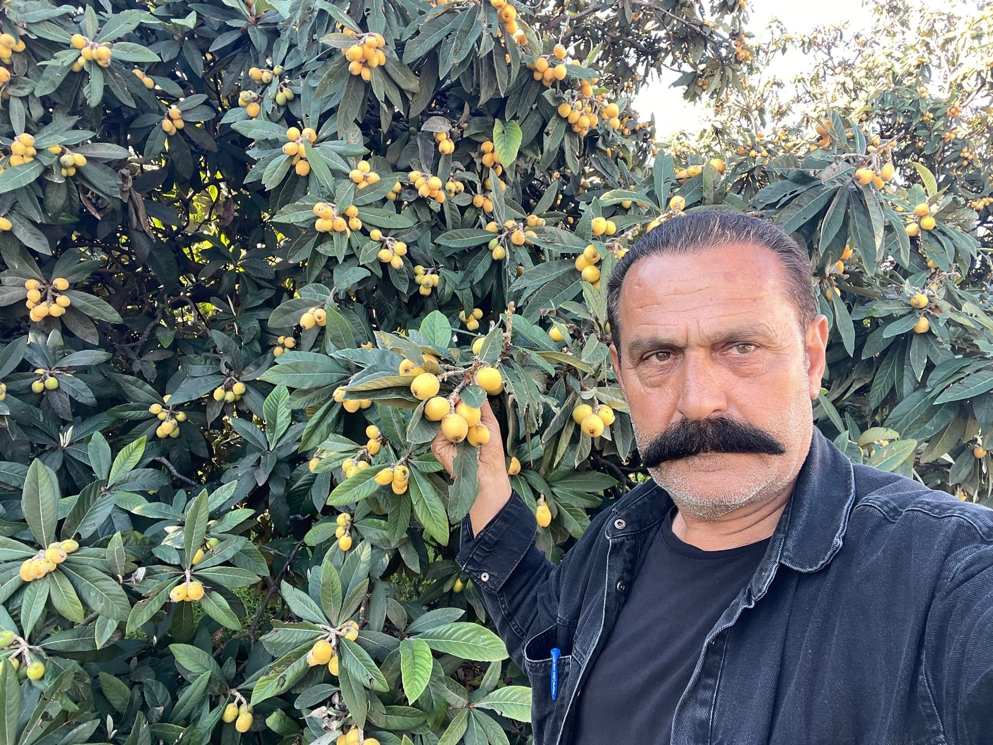 Antalya’da Acı Tablo Ürünleri Elde Kaldı Bedava Dağıttı (4)