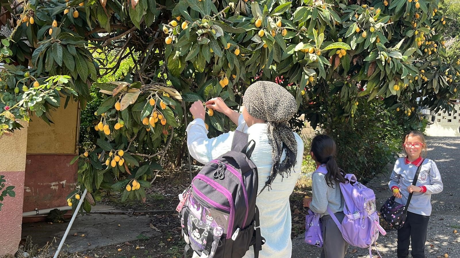 Antalya’da Acı Tablo Ürünleri Elde Kaldı Bedava Dağıttı (5)