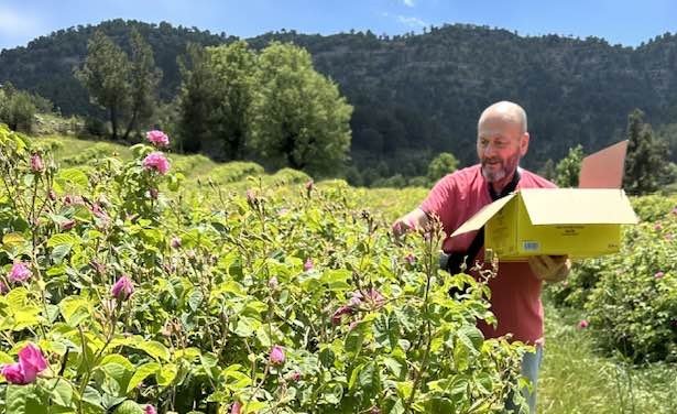 Antalya’da Hale Giren Ürün Miktarı Düştü Fiyatlar Arttı (3)