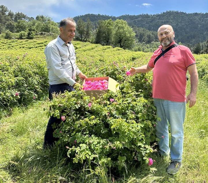 Antalya’da Hale Giren Ürün Miktarı Düştü Fiyatlar Arttı (4)