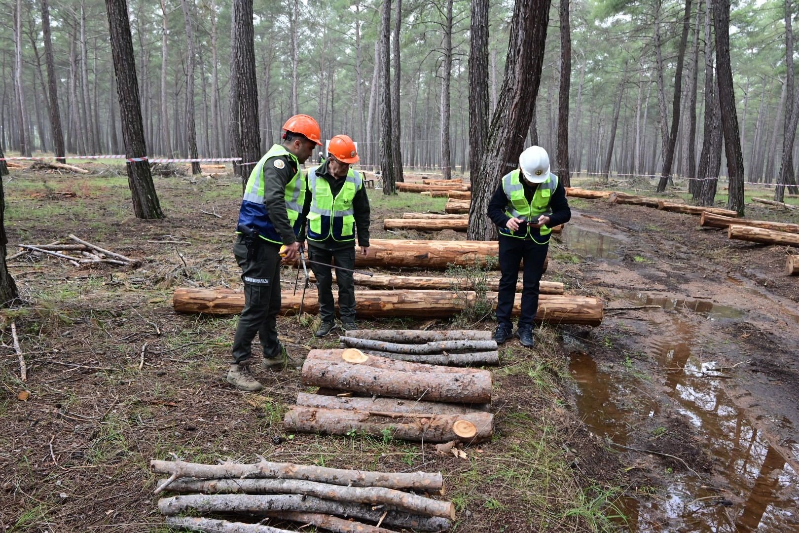 Antalya’da Ormanlar Için Kıyasıya Yarıştı (3)