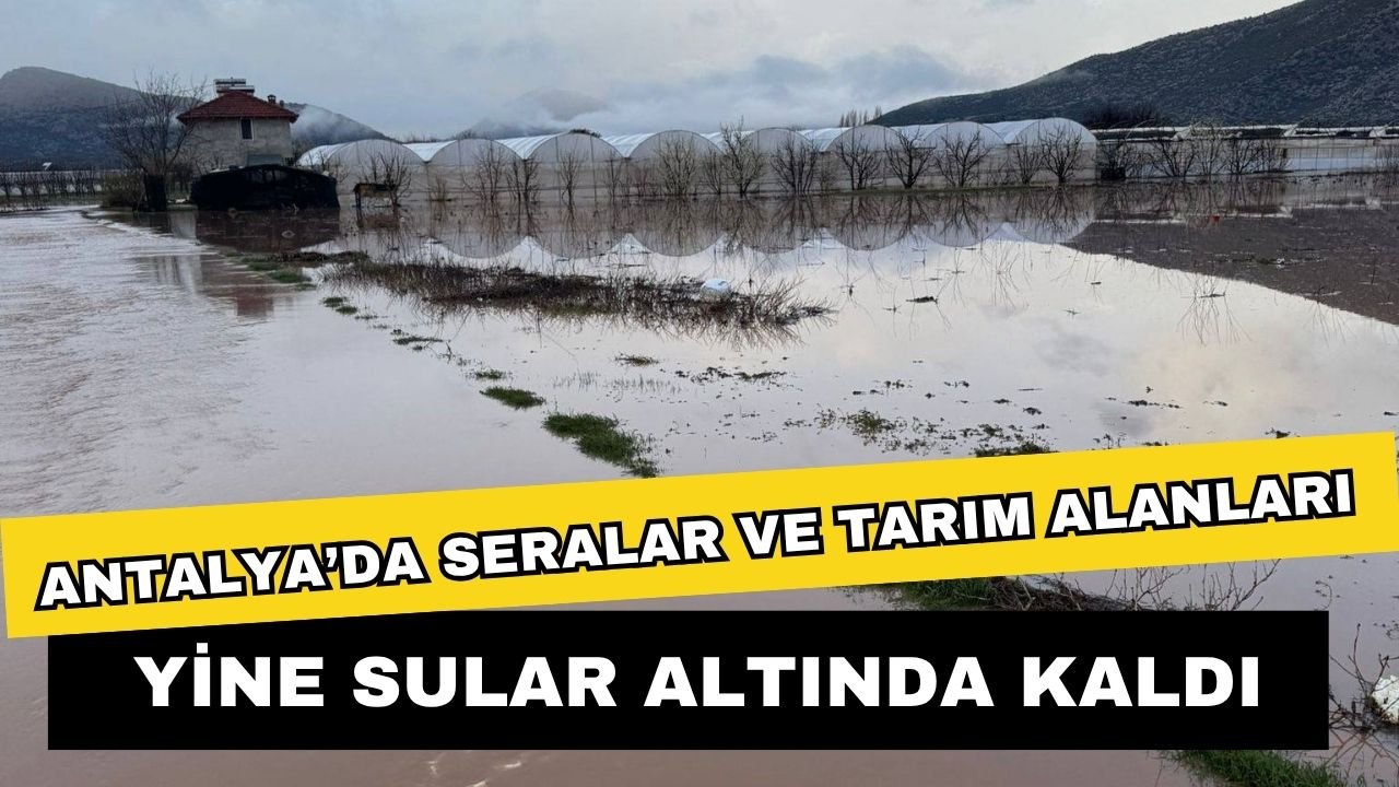Antalya’da seralar ve tarım alanları yine sular altında kaldı