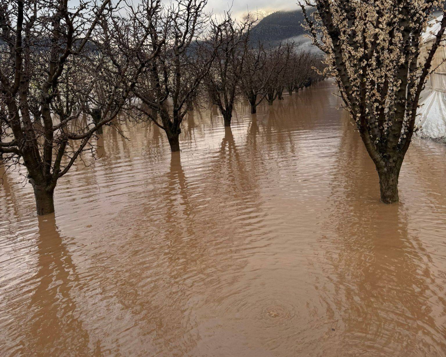 Antalya’da seralar ve tarım alanları yine sular altında kaldı