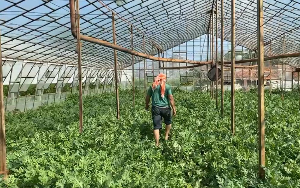 Antalya’da Serasına Giden Çiftçi Gördüğüne Inanamadı (1)