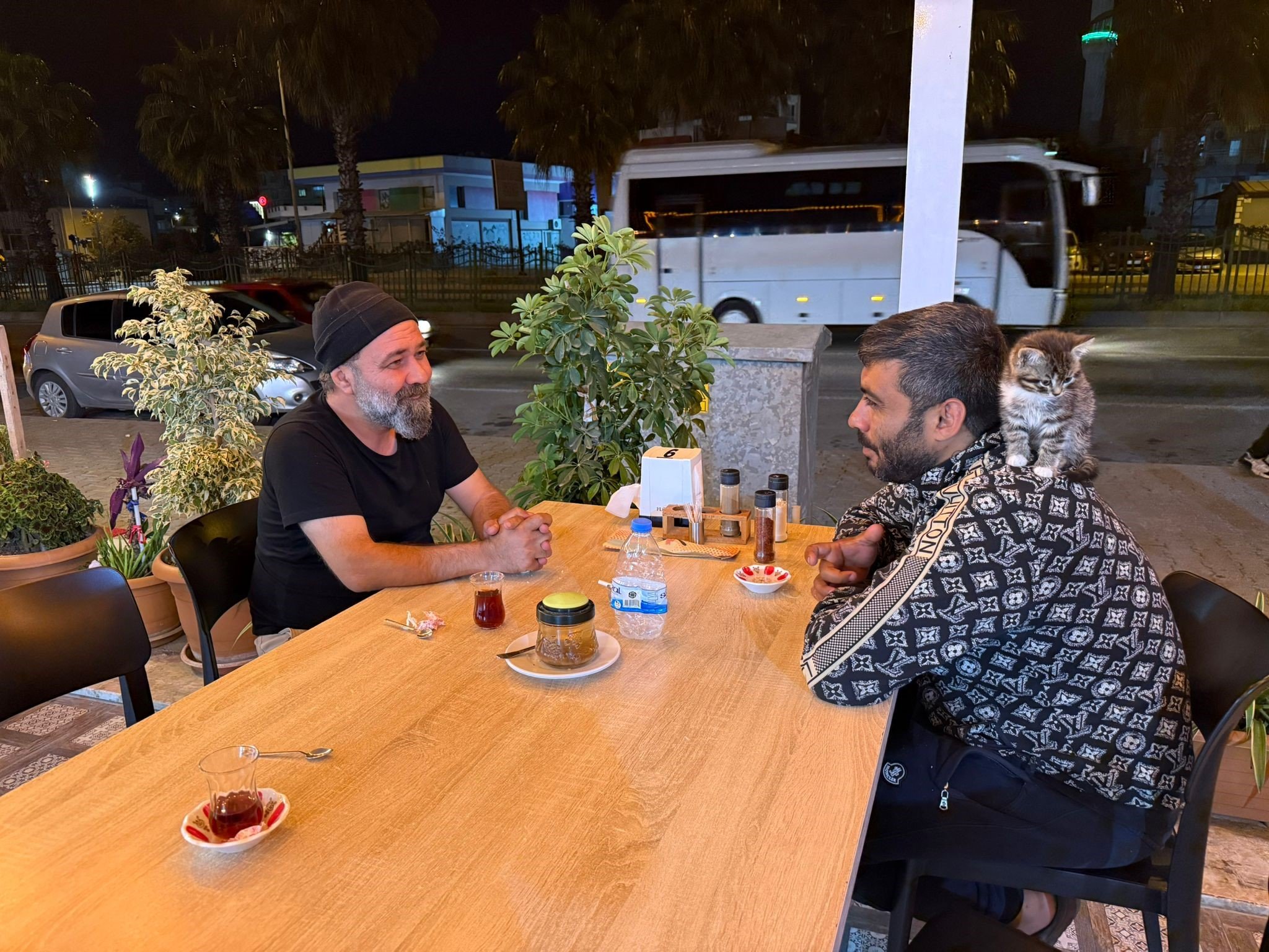 Antalya’da Yavru Kedi Madde Bağımlısını Hayata Bağladı (1)