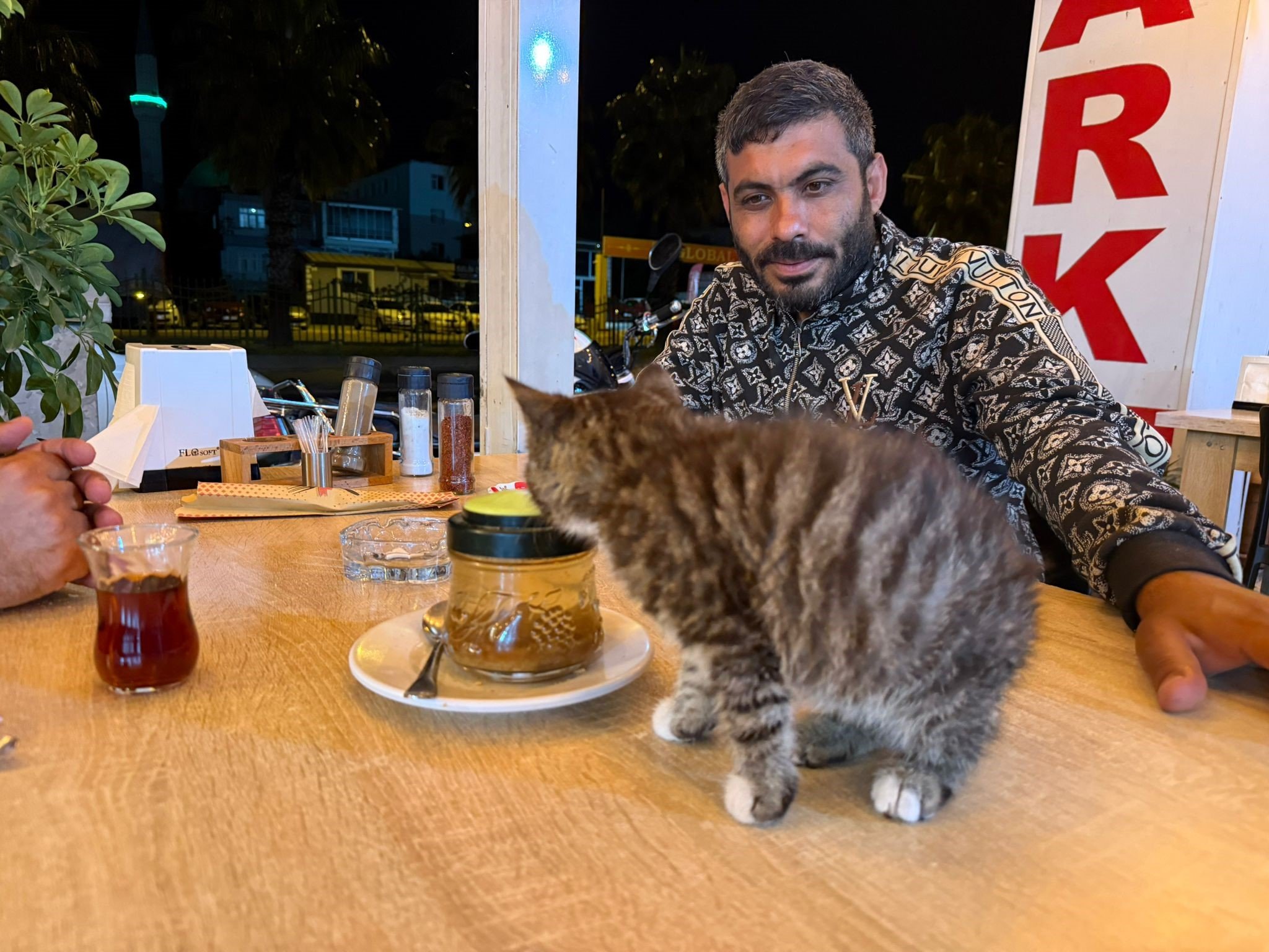 Antalya’da Yavru Kedi Madde Bağımlısını Hayata Bağladı (5)