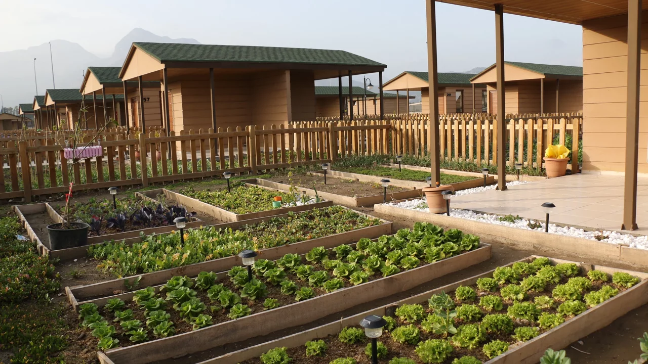 Antalya’daki Bu Bahçelere Af Yok Yıkım Var (1)