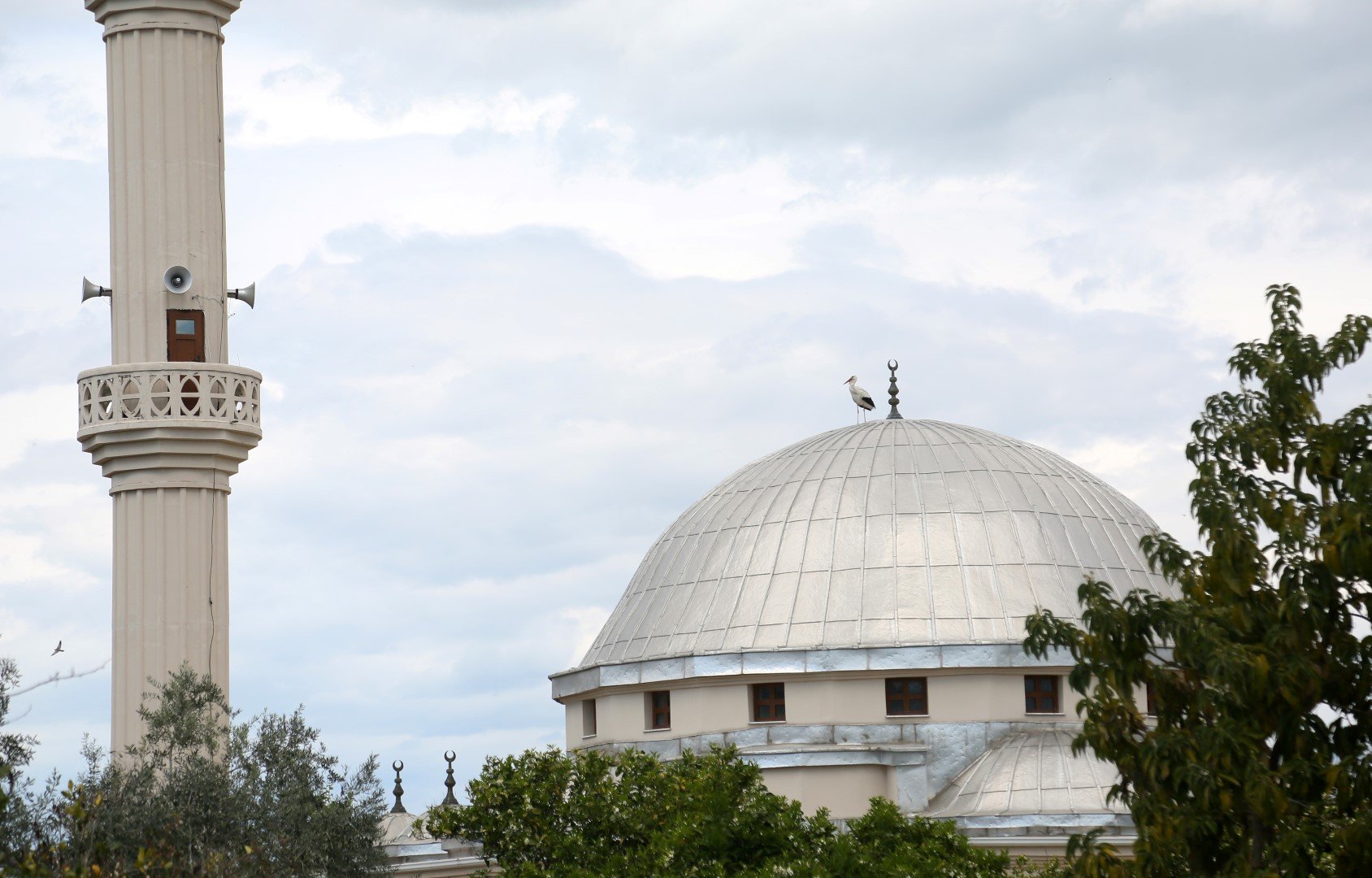 Antalya’daki Köyler Leylek Istemiyor (5)