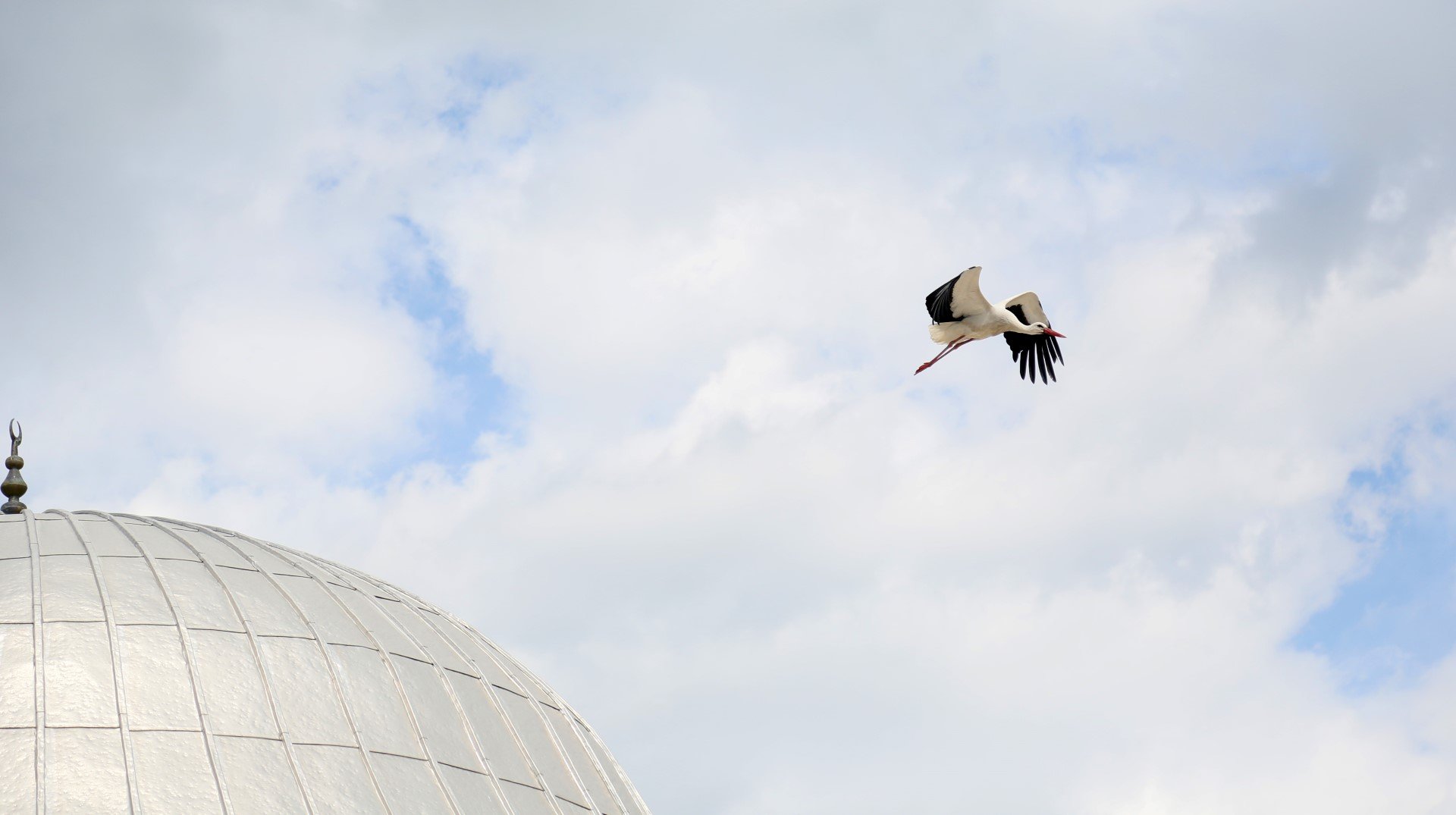 Antalya’daki köyler leylek istemiyor