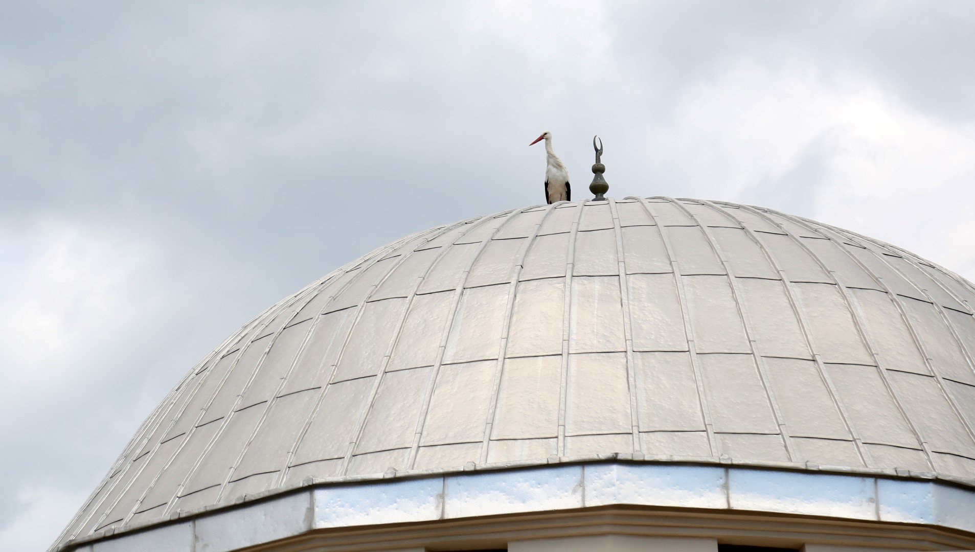 Antalya’daki Köyler Leylek Istemiyor (9)