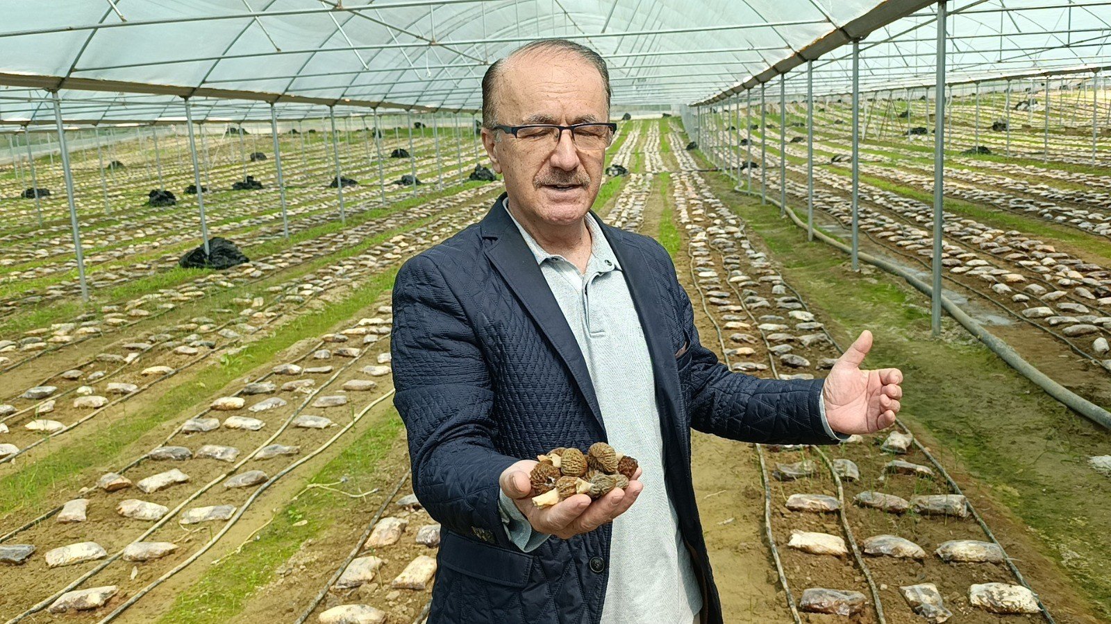 Antalya’daki Mühendis Ormanda Yetişen Ürünü Seraya Taşıdı (2)