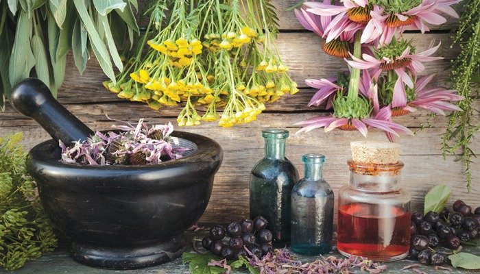 Antalya’daki O Sektör Kuraklığın Acısını Çıkarmaya Hazırlanıyor (1)