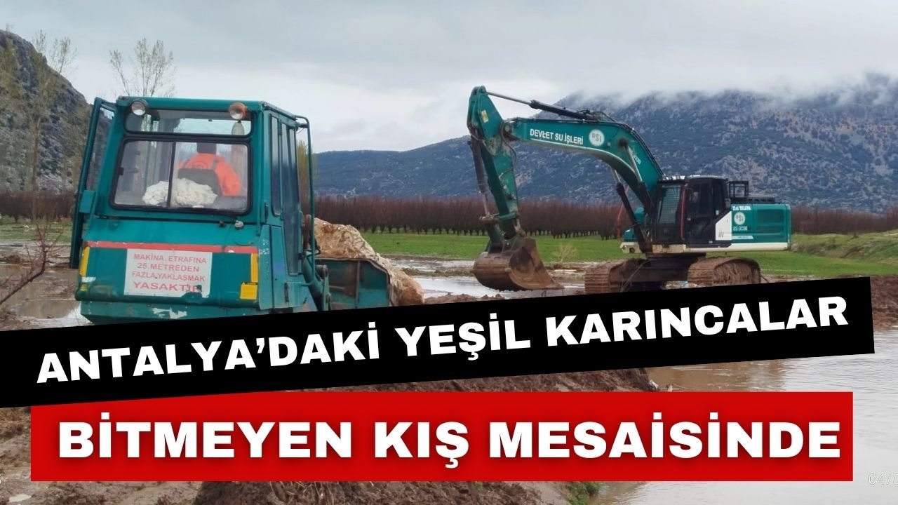 Antalya’daki Yeşil Karıncalar, bitmeyen kış mesaisinde