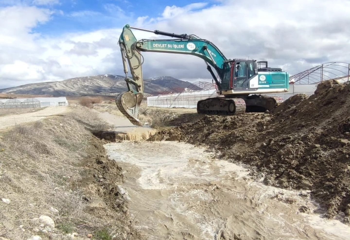 Antalya’daki Yeşil Karıncalar, Bitmeyen Kış Mesaisinde (3)