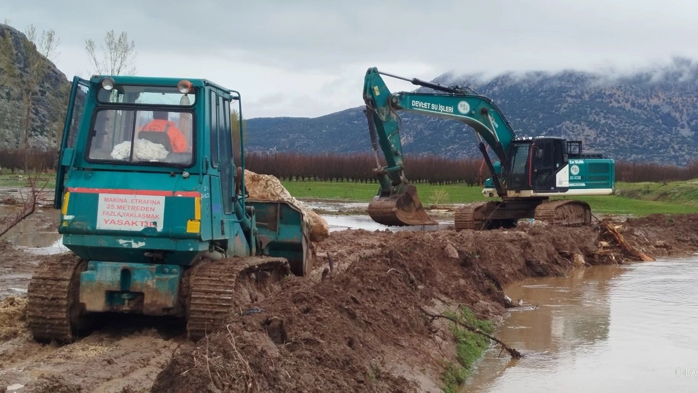 Antalya’daki Yeşil Karıncalar, Bitmeyen Kış Mesaisinde (4)